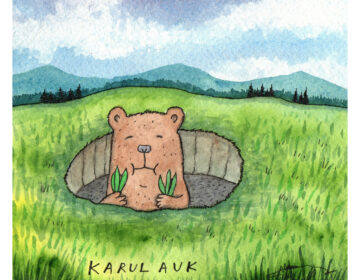 karul auk