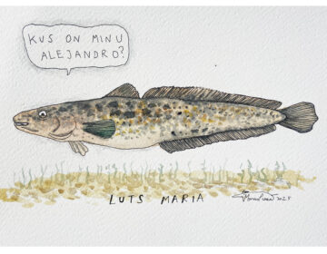 Luts Maria