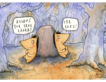 Kuidas sul seal läheb?