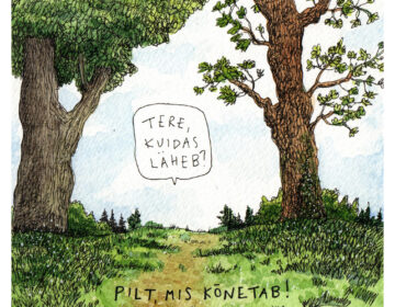 Pilt, mis kõnetab