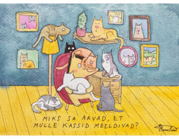 Miks sa arvad, et mulle kassid meeldivad