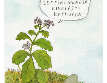 kassisaba