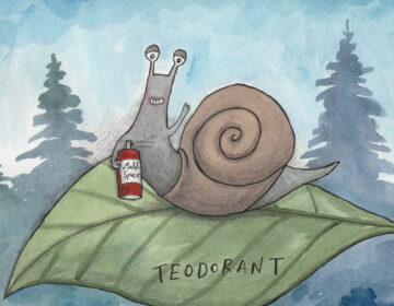Tassialus "Teodorant"